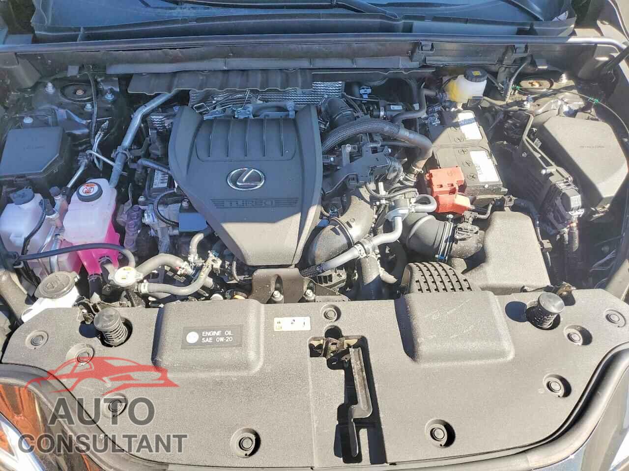 LEXUS NX 2026 - 2T2AGCEZ8TC100846