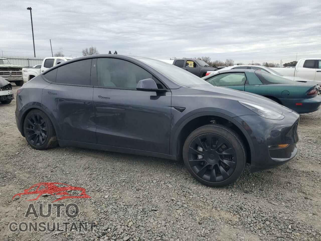 TESLA MODEL Y 2024 - 7SAYGDEE5RF073327
