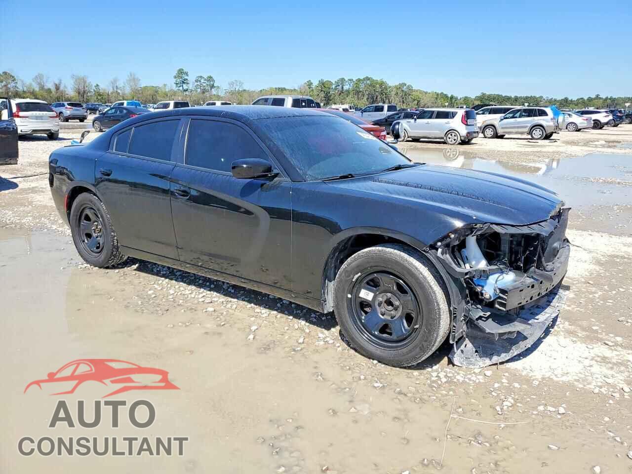 DODGE CHARGER 2023 - 2C3CDXAT4PH560620