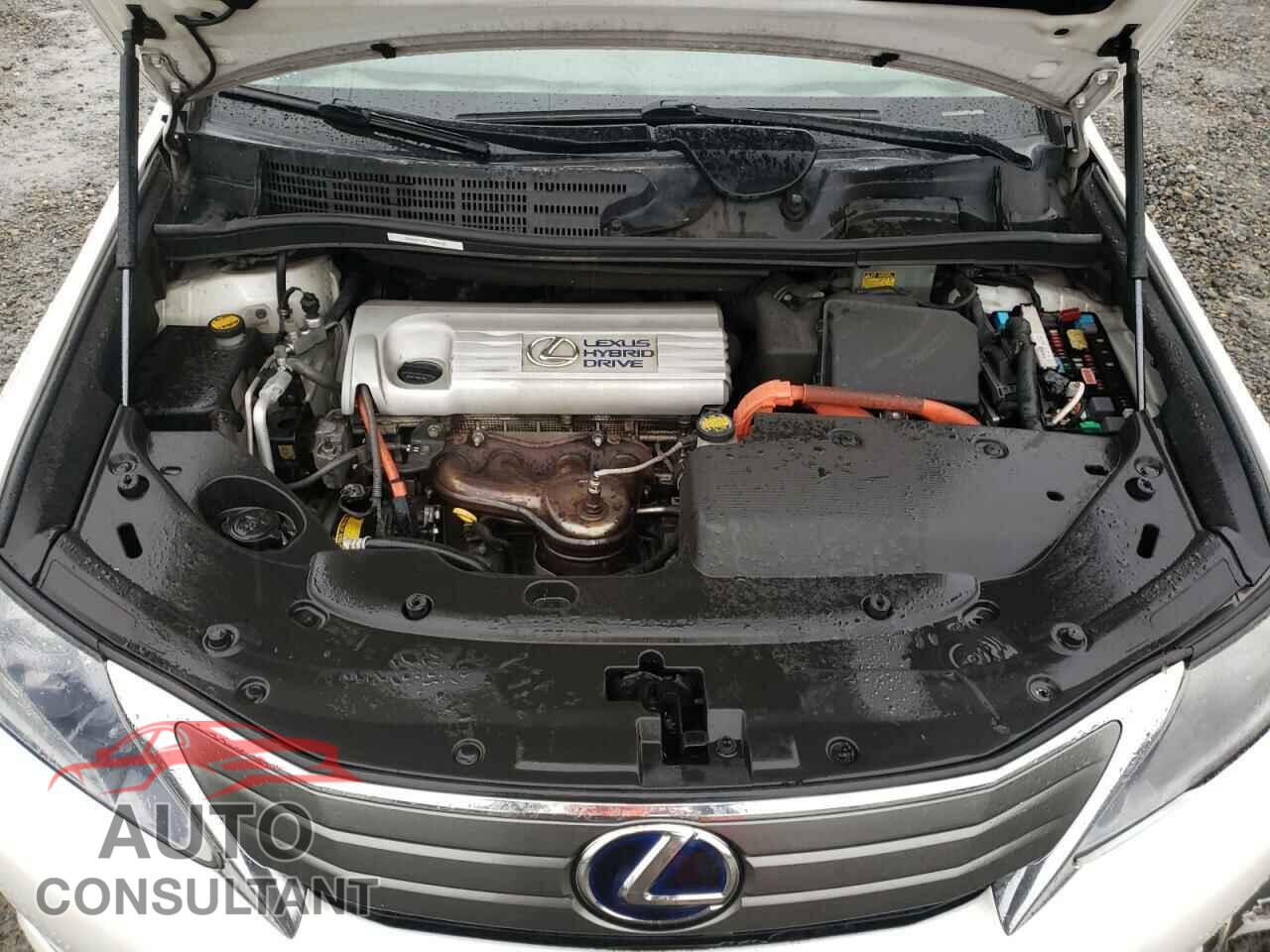 LEXUS HS 2010 - JTHBB1BA1A2012760