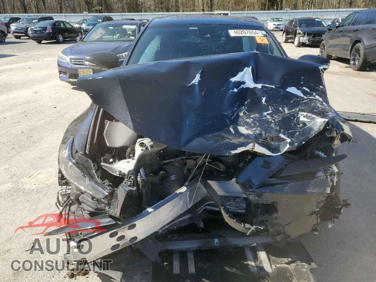 LEXUS IS 2019 - JTHC81D20K5034368