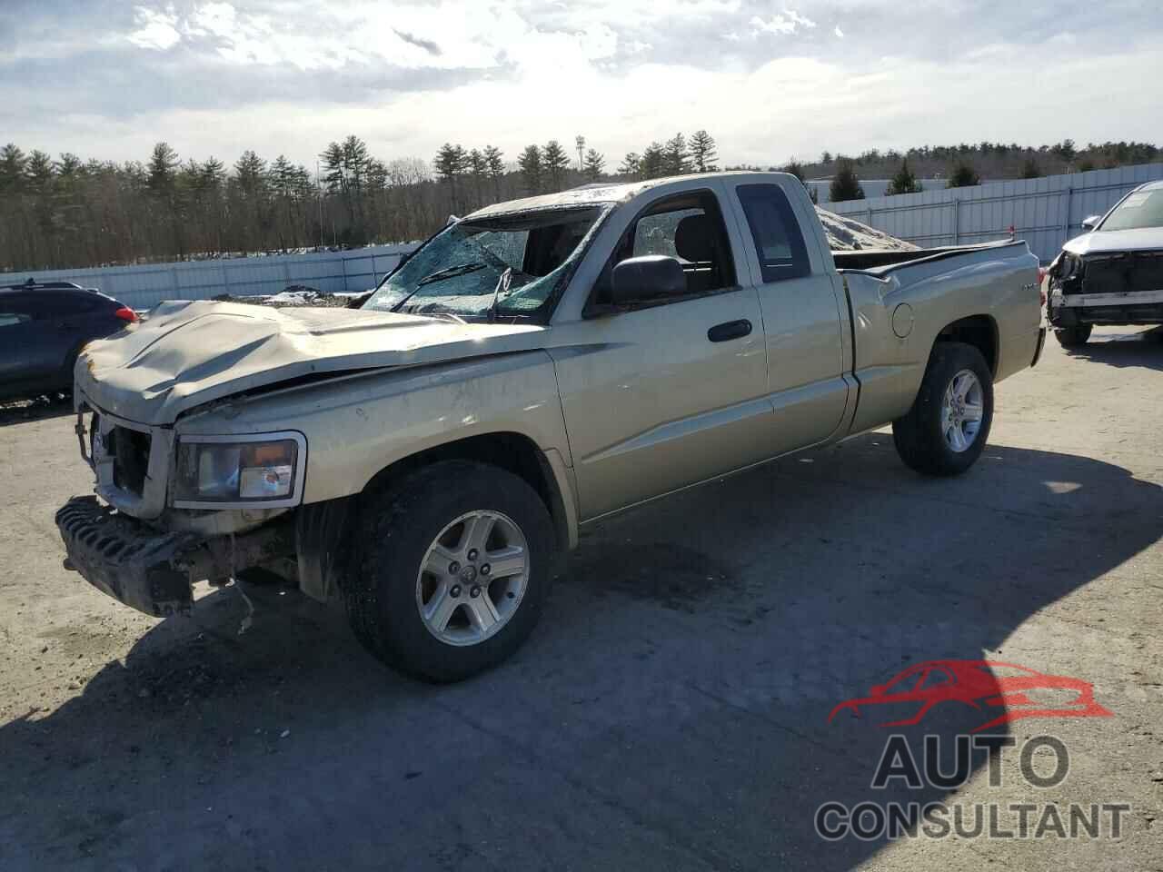DODGE DAKOTA 2011 - 1D7RW3BKXBS633785
