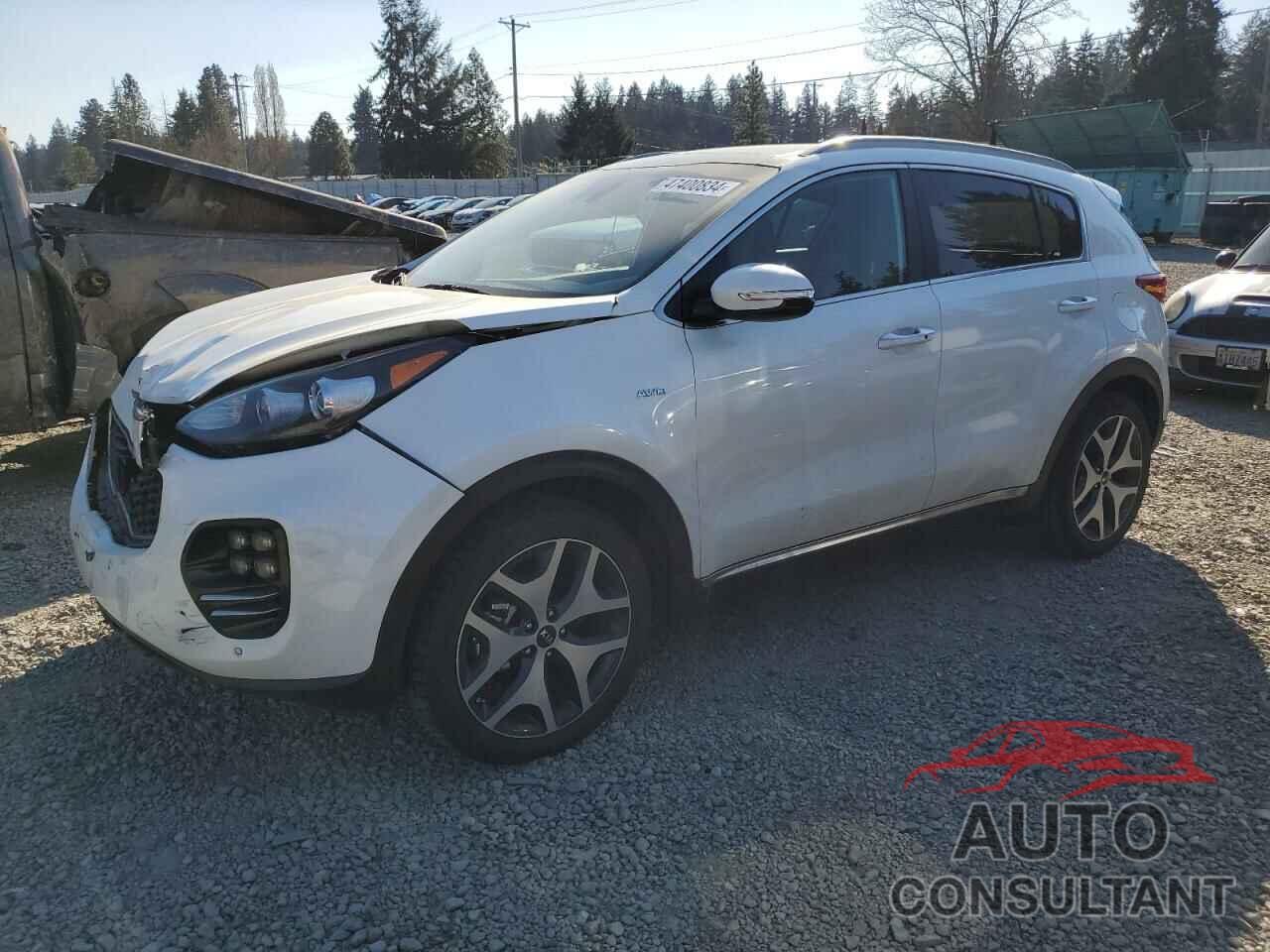 KIA SPORTAGE 2017 - KNDPRCA60H7258241