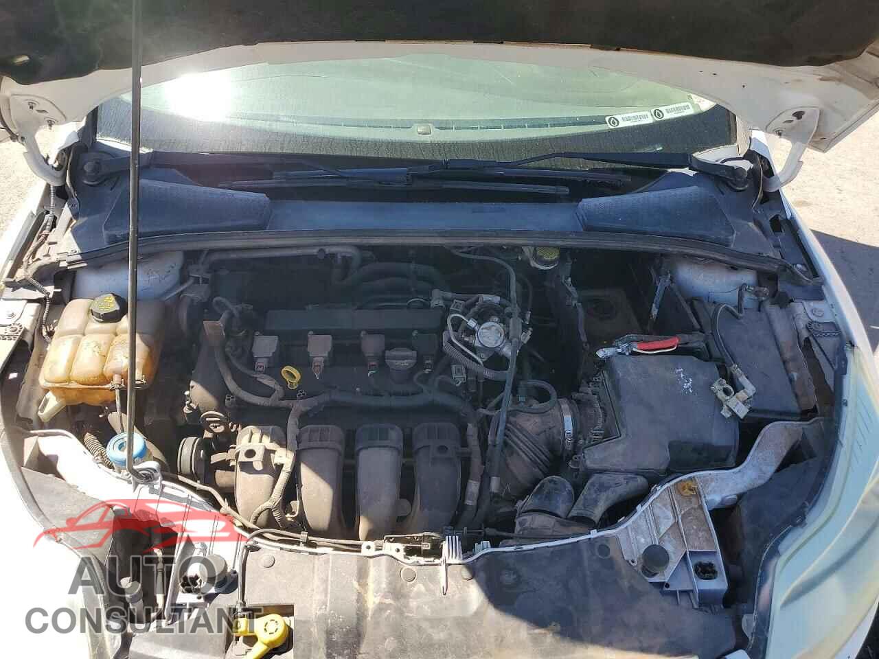FORD FOCUS 2014 - 1FADP3F2XEL316721