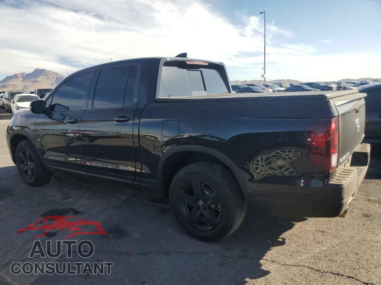 HONDA RIDGELINE 2023 - 5FPYK3F81PB012950