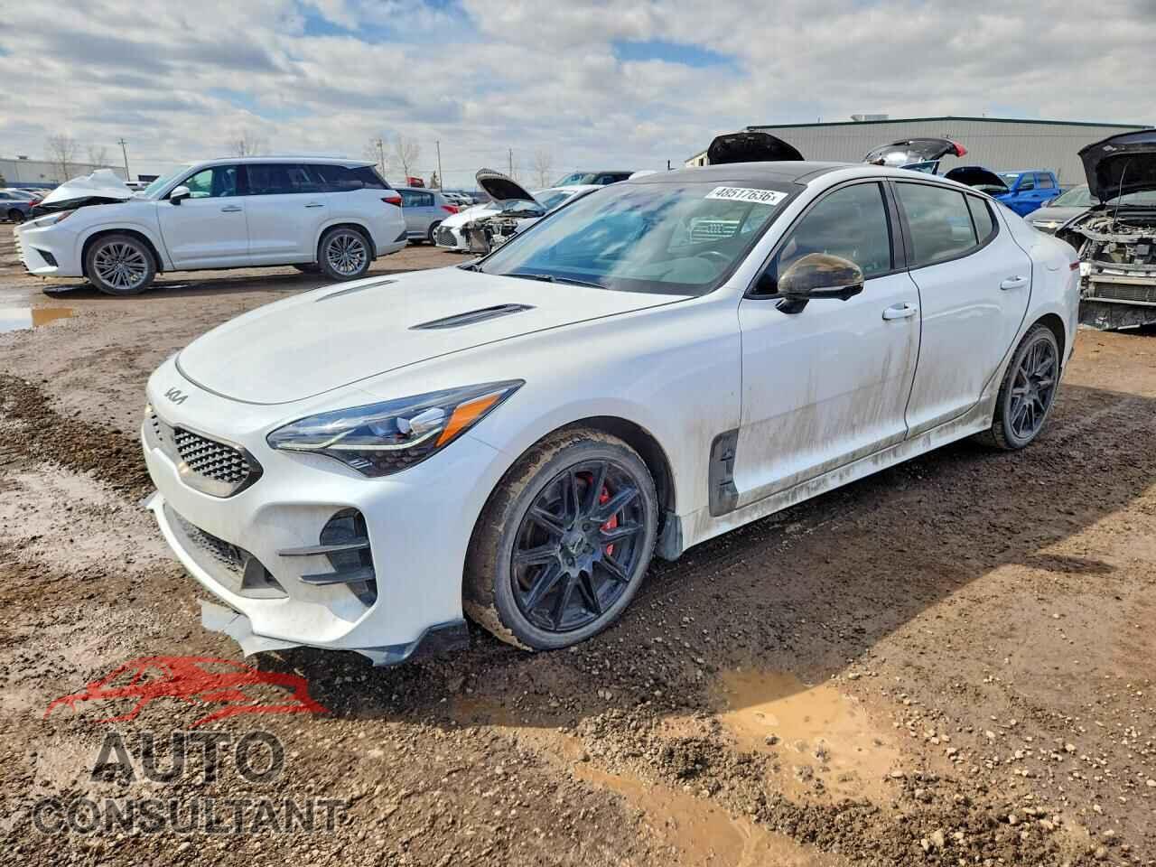 KIA STINGER 2022 - KNAE55LC3N6108544