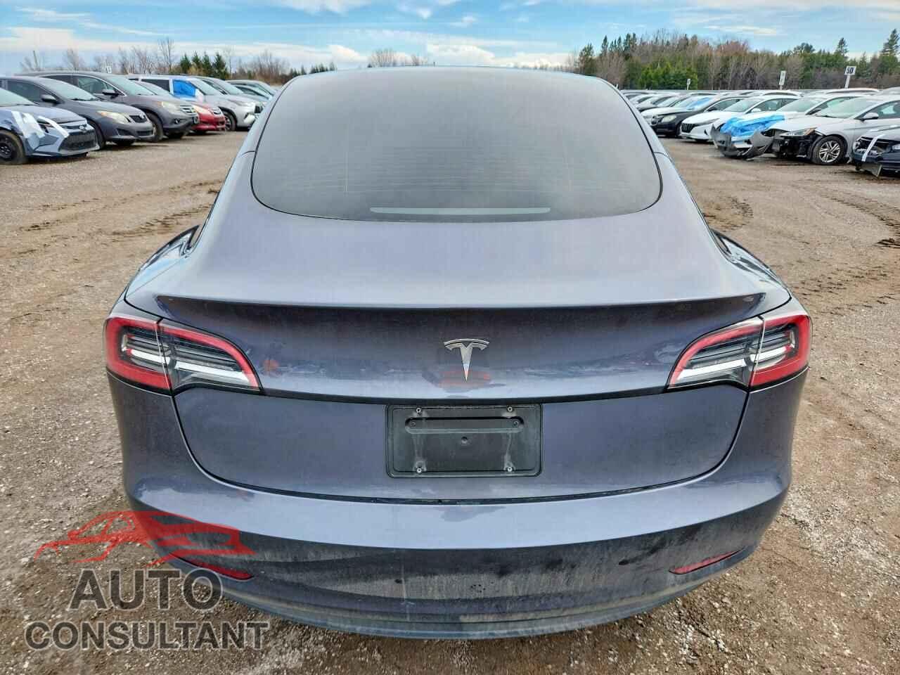 TESLA MODEL 3 2023 - LRW3E1FA4PC876175