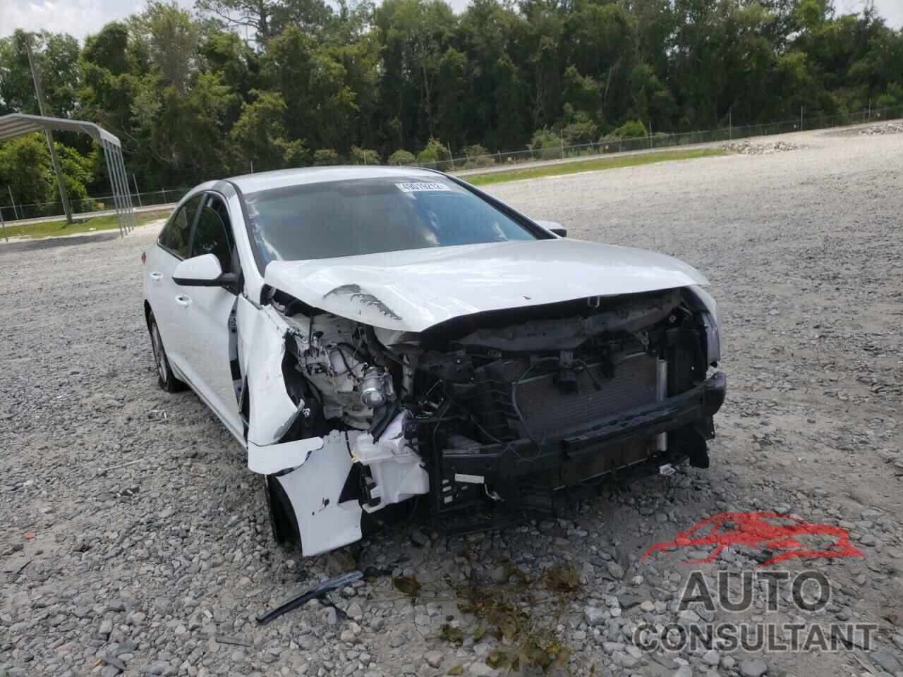 HYUNDAI SONATA 2017 - 5NPE24AF2HH490532
