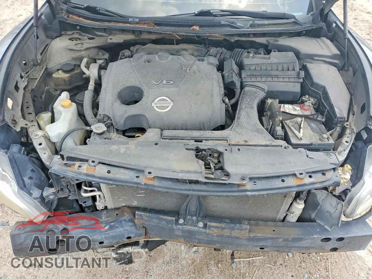 NISSAN MAXIMA 2009 - 1N4AA51E29C814032