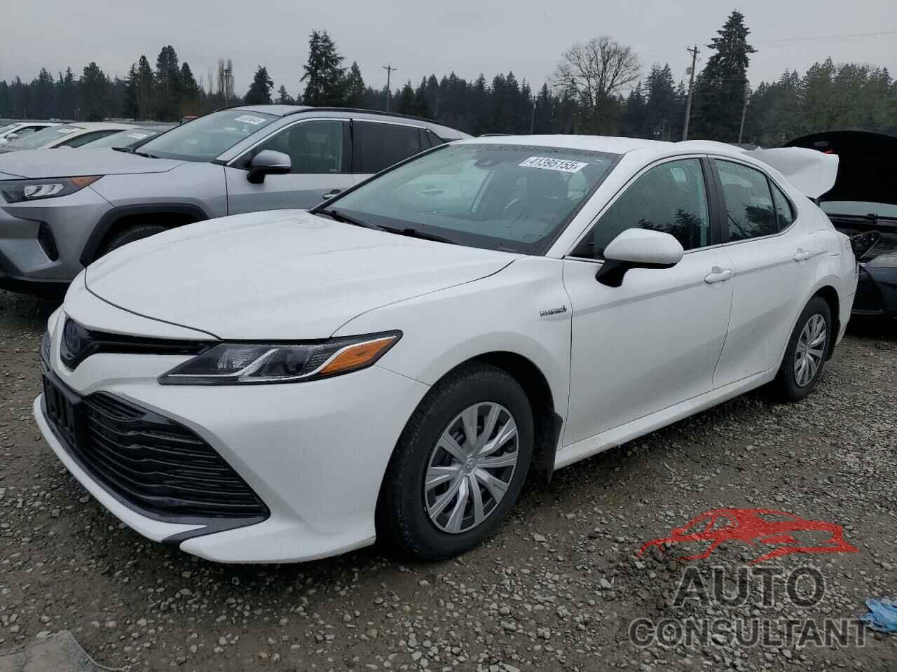 TOYOTA CAMRY 2019 - 4T1B31HKXKU517390