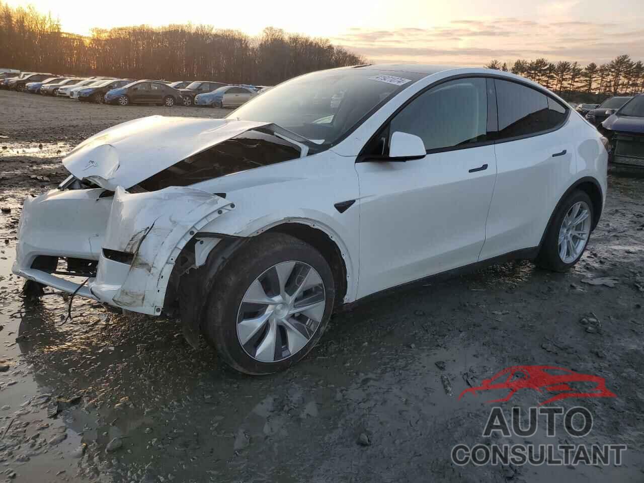 TESLA MODEL Y 2023 - 7SAYGDEE1PF785119