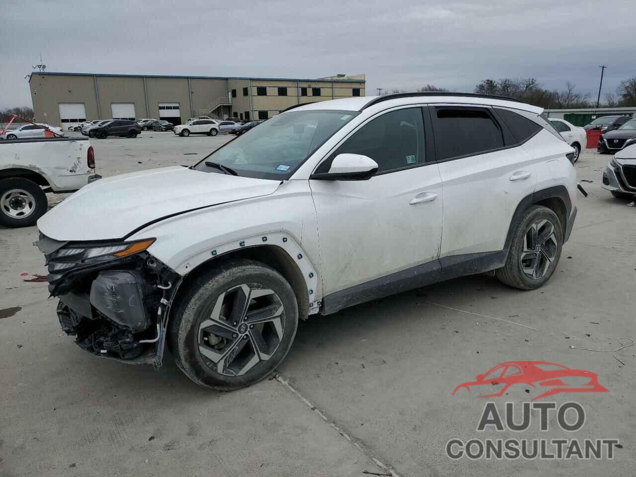 HYUNDAI TUCSON 2024 - 5NMJB3DE6RH424401