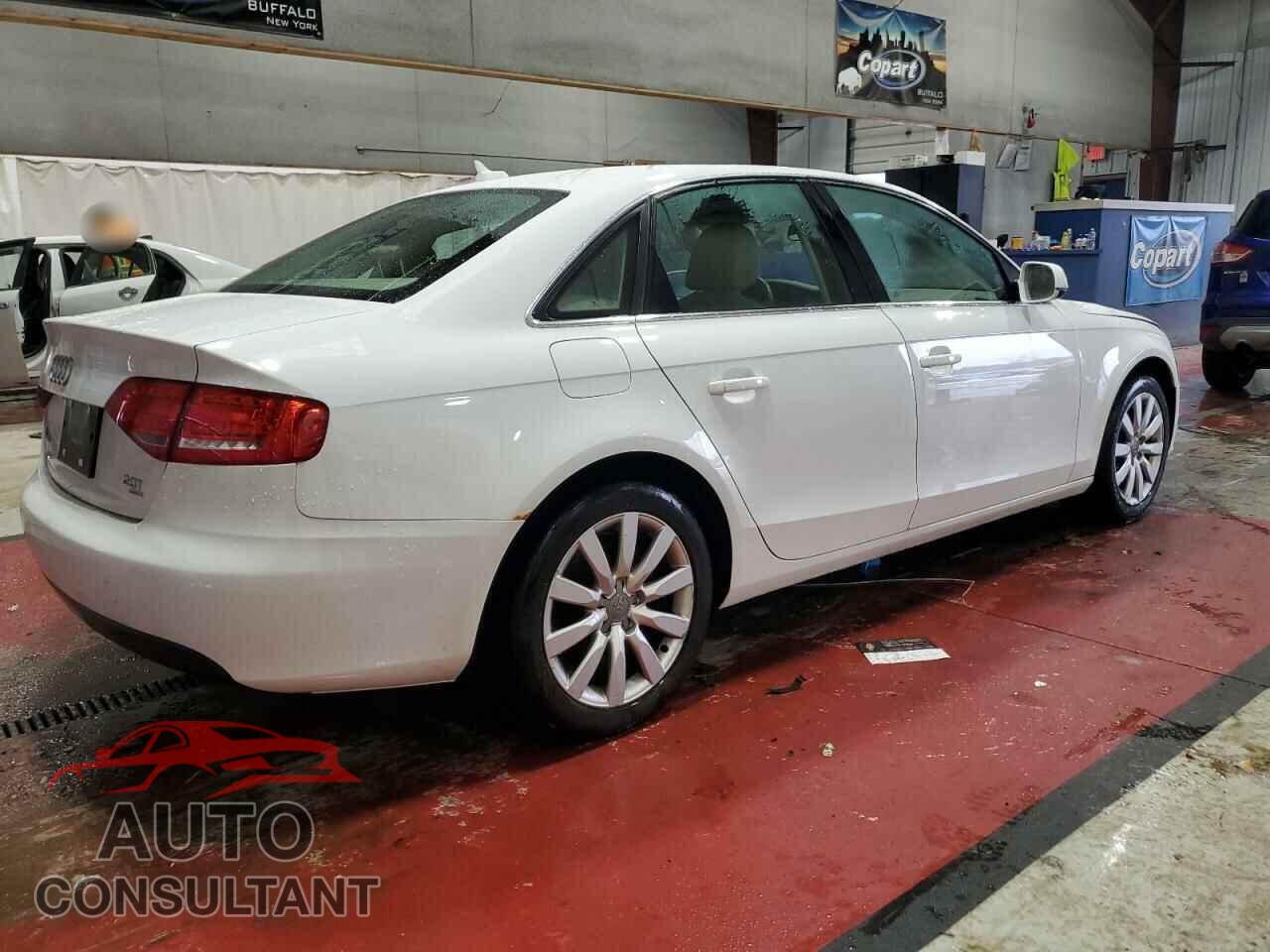 AUDI A4 2010 - WAUFFAFL3AN044009