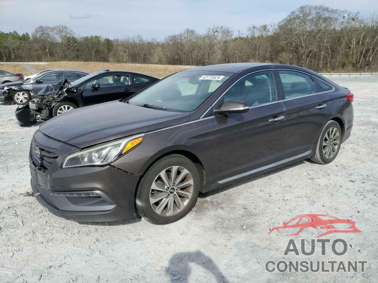 HYUNDAI SONATA 2016 - 5NPE34AF0GH316356