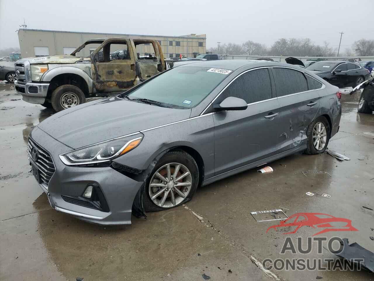 HYUNDAI SONATA 2019 - 5NPE24AF9KH738508