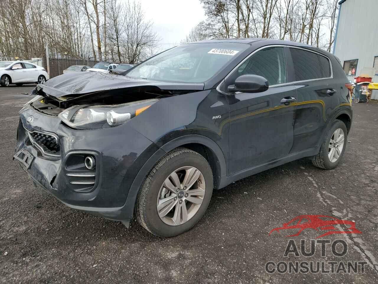 KIA SPORTAGE 2017 - KNDPMCAC4H7066227