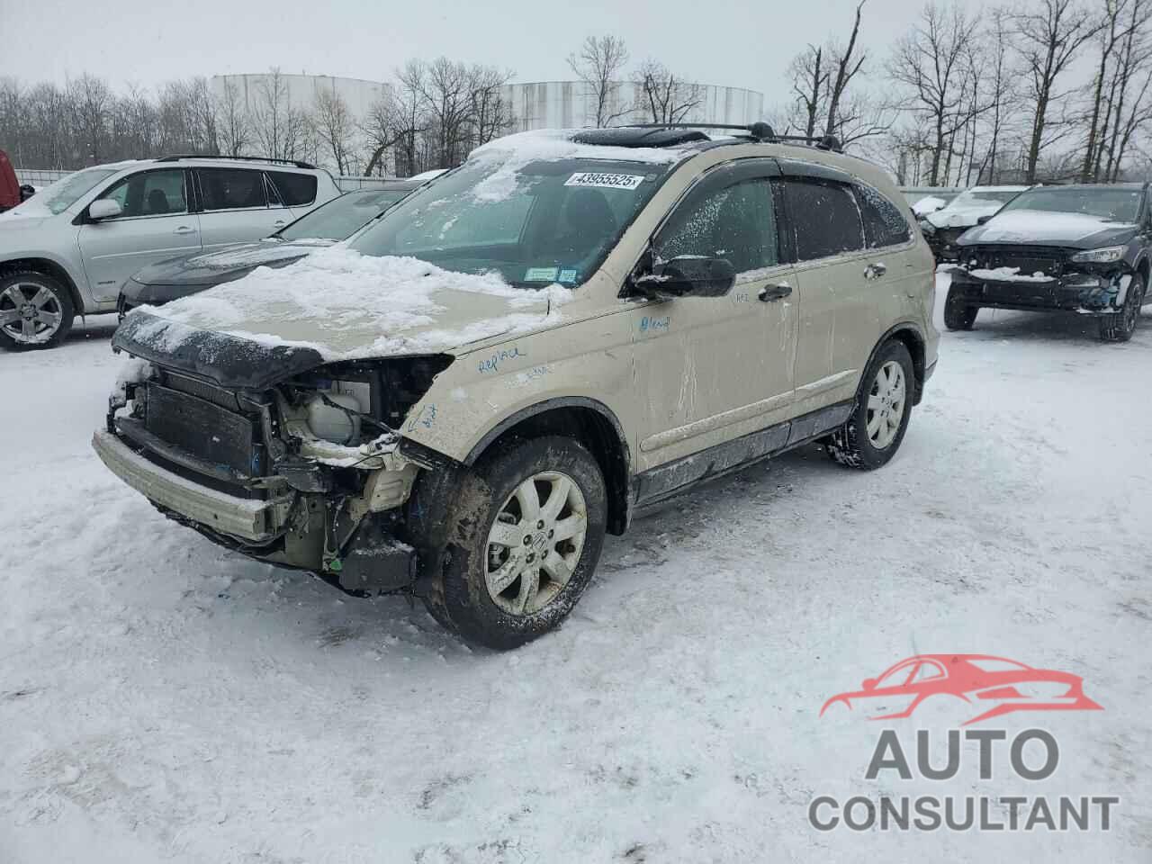 HONDA CRV 2009 - 5J6RE48569L062458
