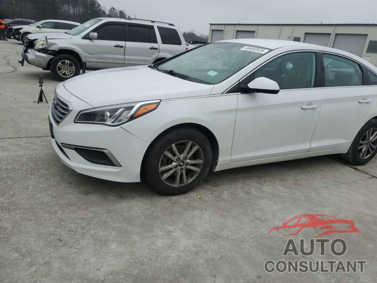 HYUNDAI SONATA 2017 - 5NPE24AF0HH555443