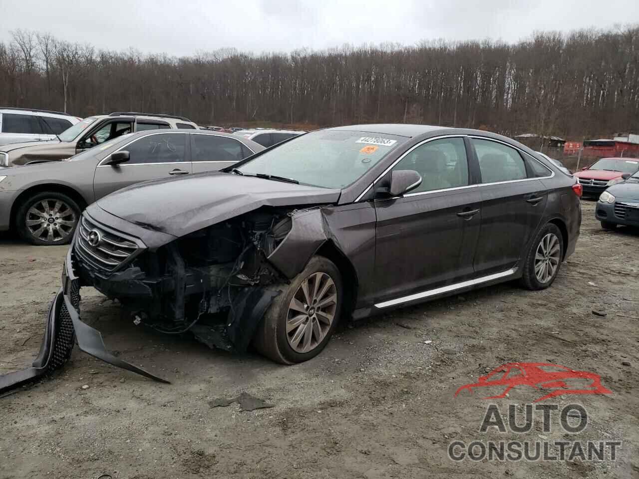 HYUNDAI SONATA 2017 - 5NPE34AF9HH475488