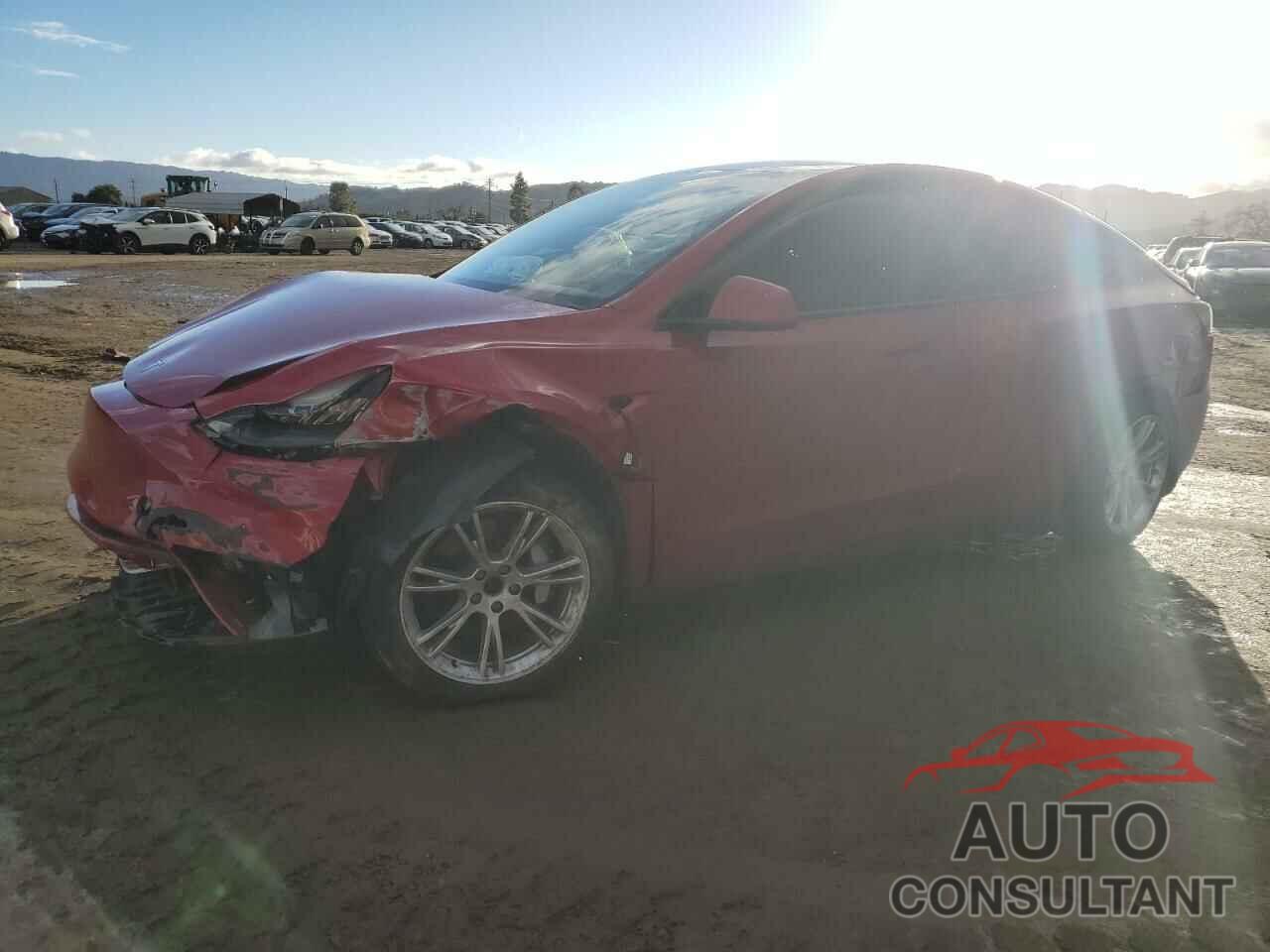 TESLA MODEL Y 2021 - 5YJYGDEE5MF066612