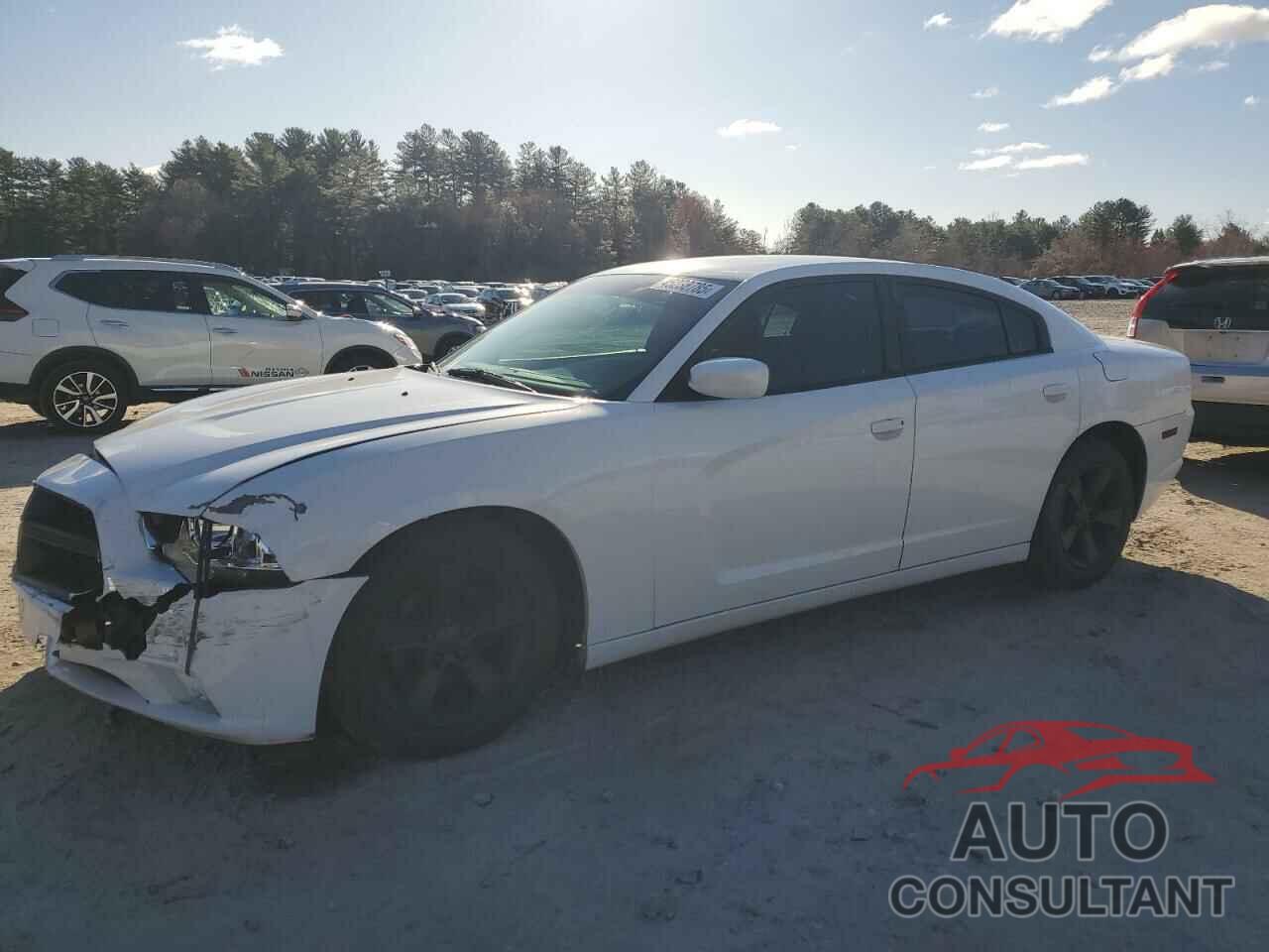 DODGE CHARGER 2013 - 2C3CDXBG6DH720557