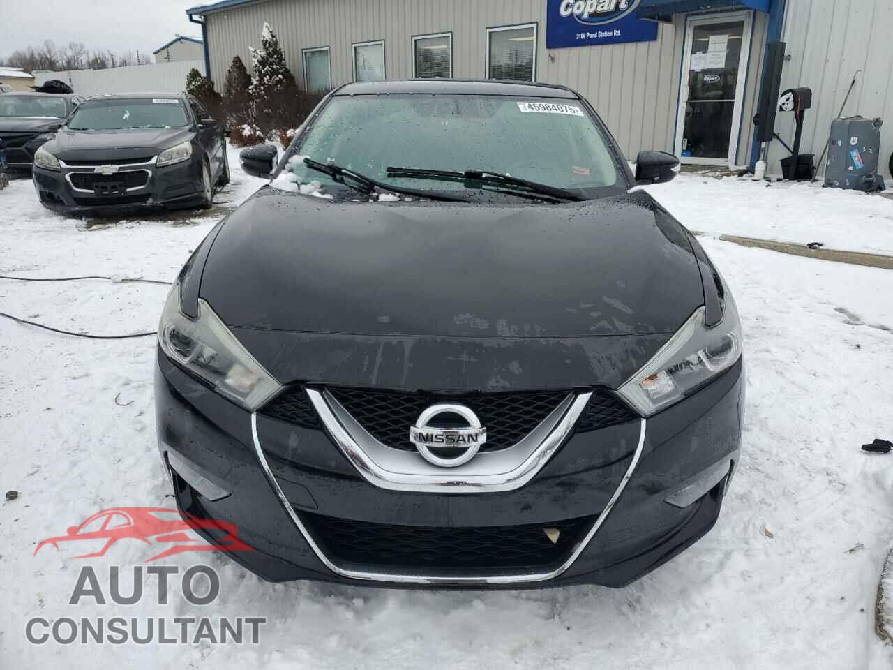 NISSAN MAXIMA 2017 - 1N4AA6AP1HC451387