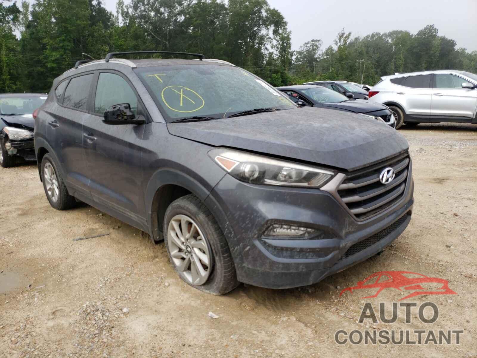 HYUNDAI TUCSON 2016 - KM8J33A40GU207176