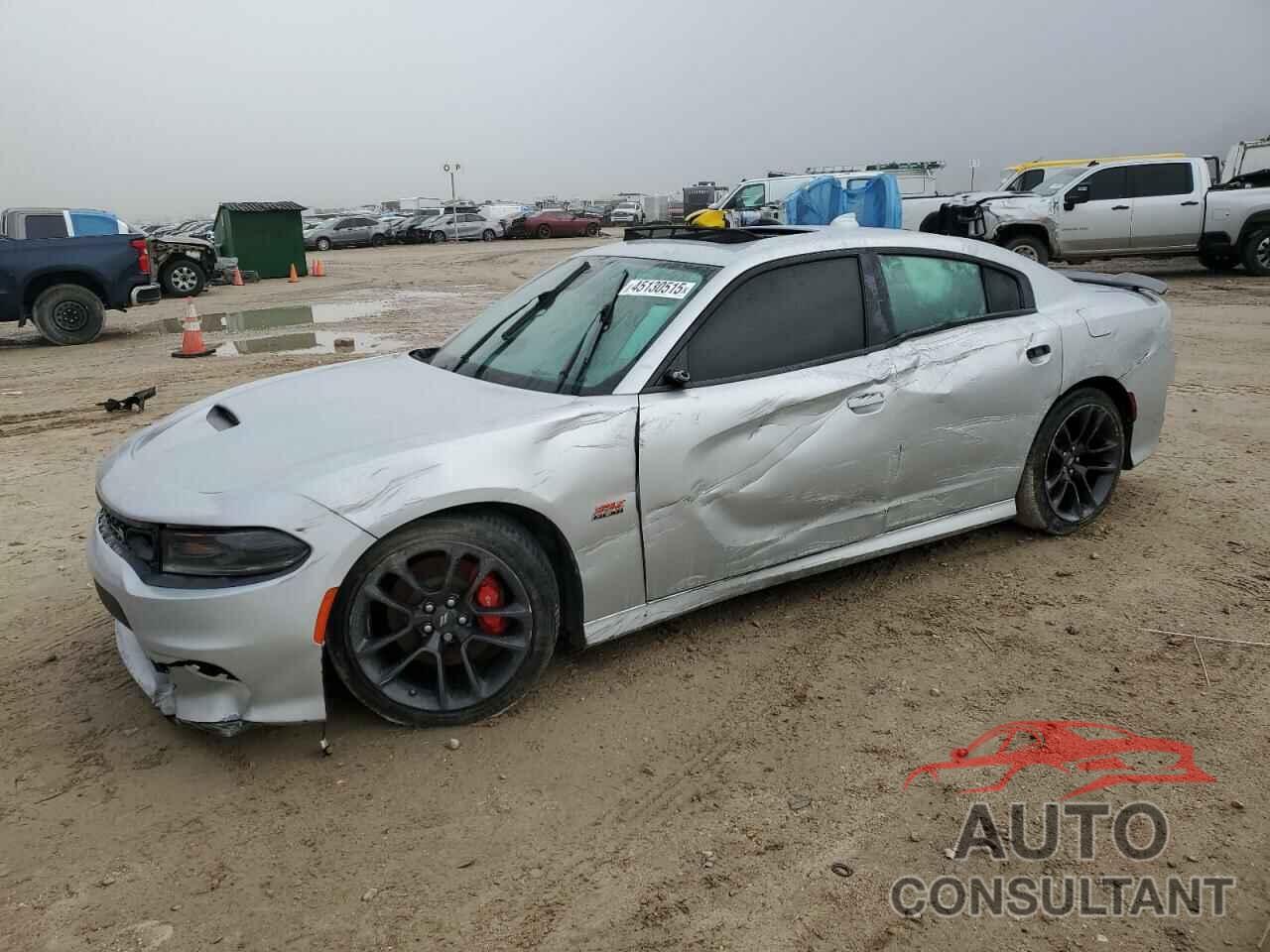 DODGE CHARGER 2020 - 2C3CDXGJ2LH113994
