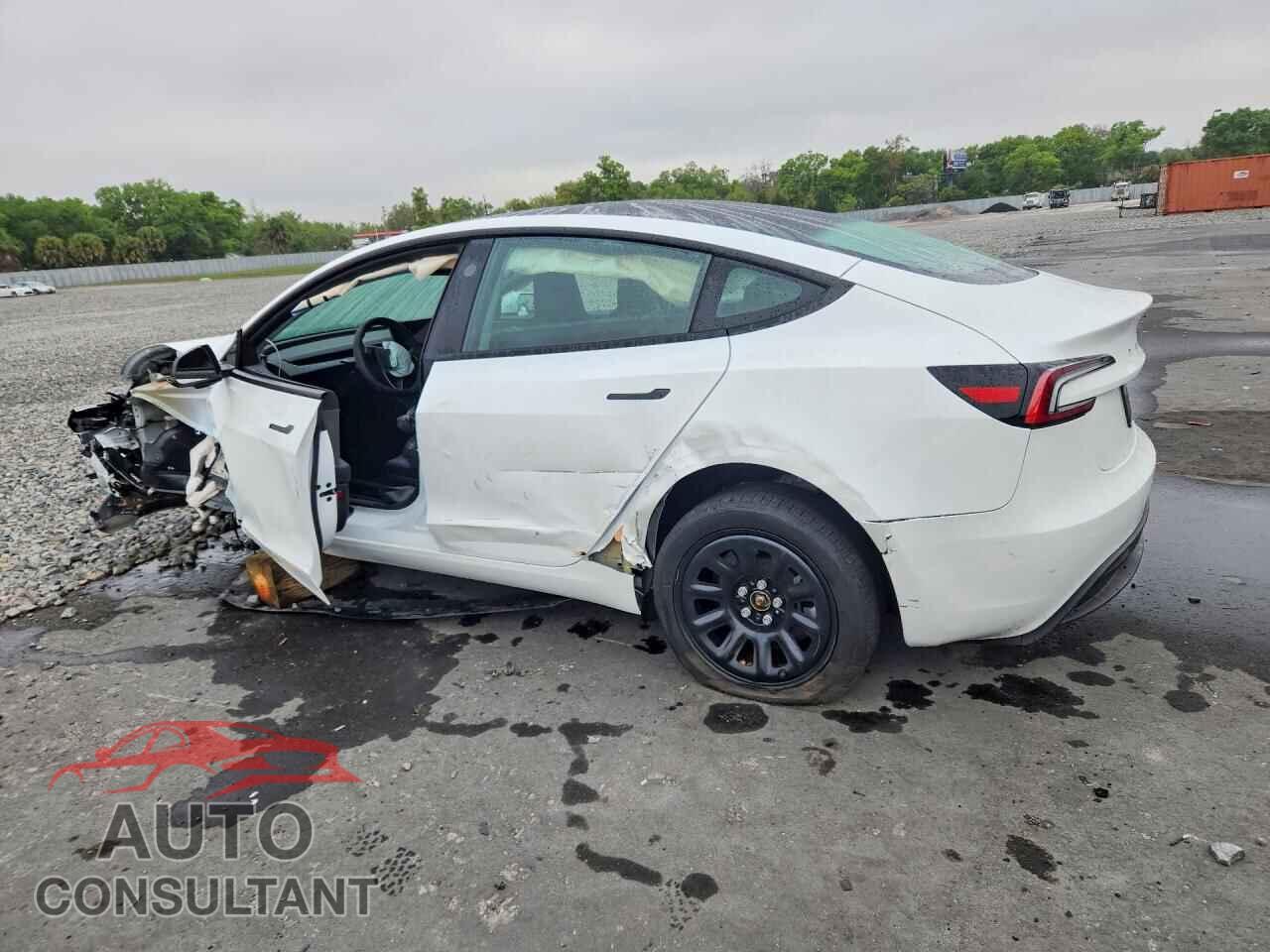 TESLA MODEL 3 2025 - 5YJ3E1EA4SF131586