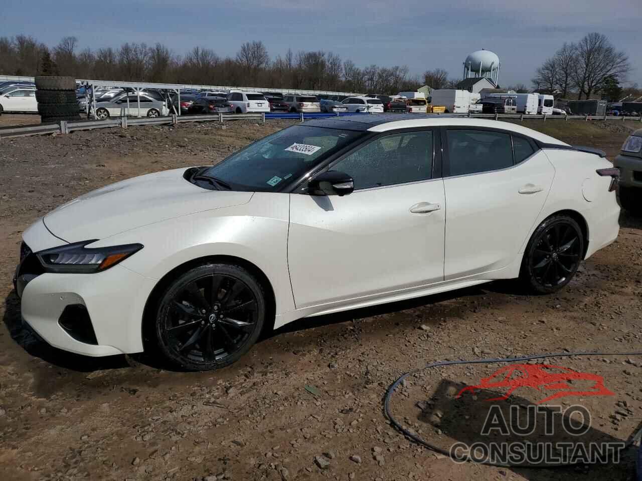 NISSAN MAXIMA 2019 - 1N4AA6EV5PC505782