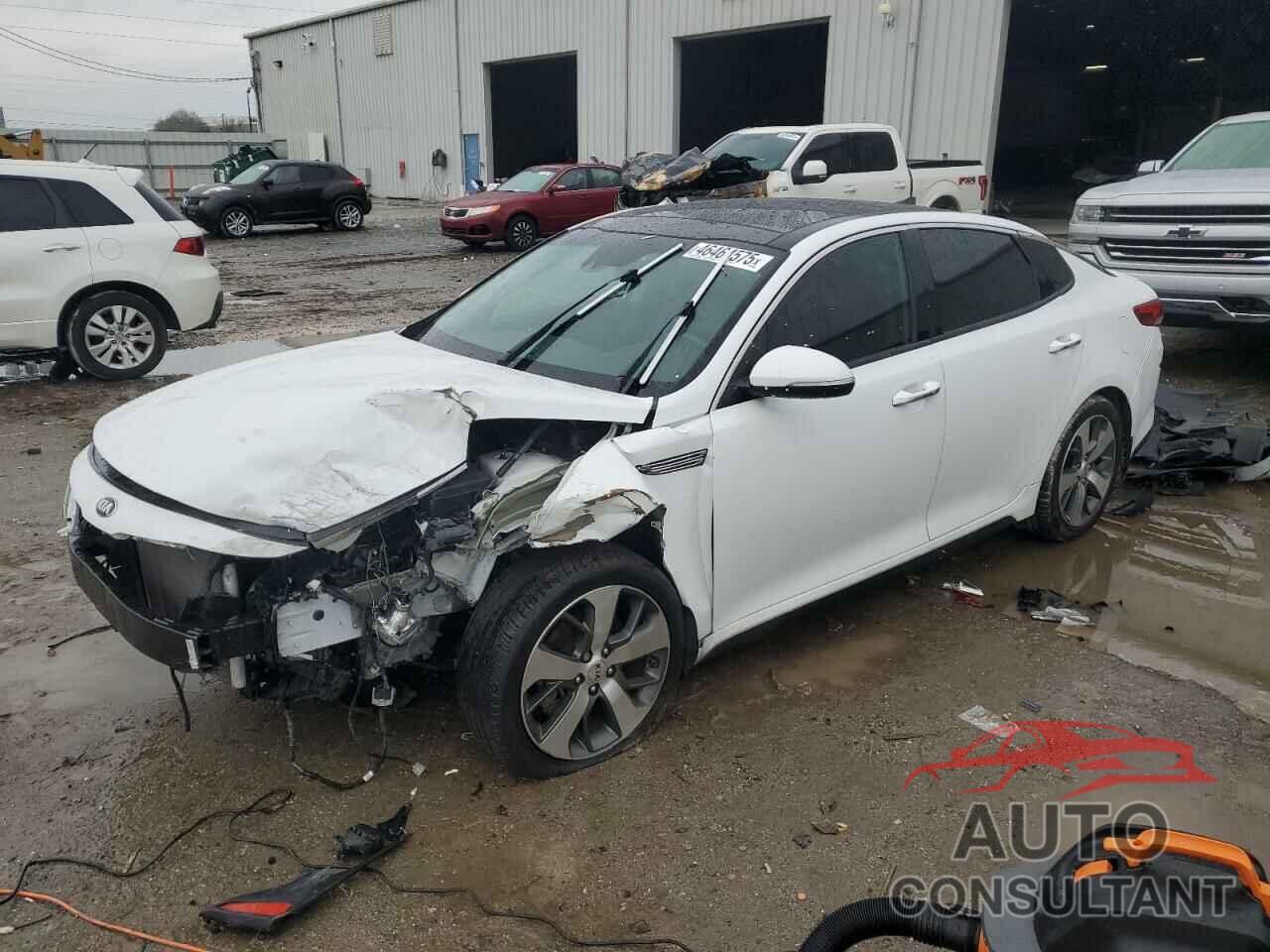 KIA OPTIMA 2019 - 5XXGT4L36KG360880