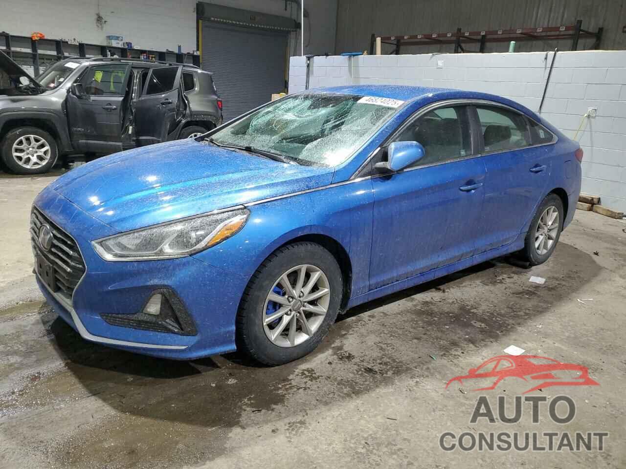 HYUNDAI SONATA 2019 - 5NPE24AF8KH731310