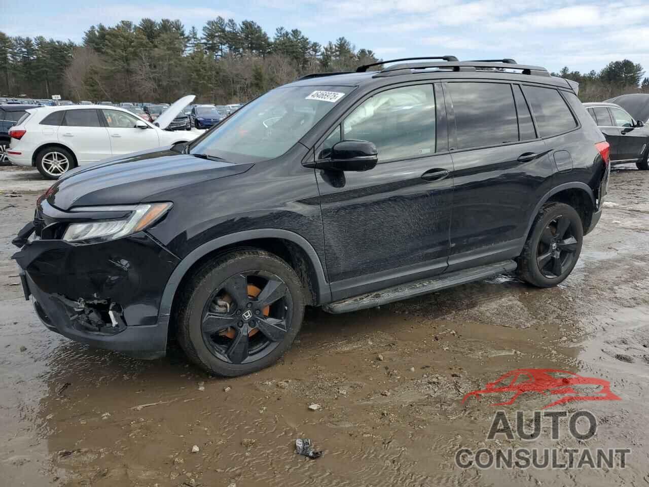 HONDA PASSPORT 2019 - 5FNYF8H06KB003123