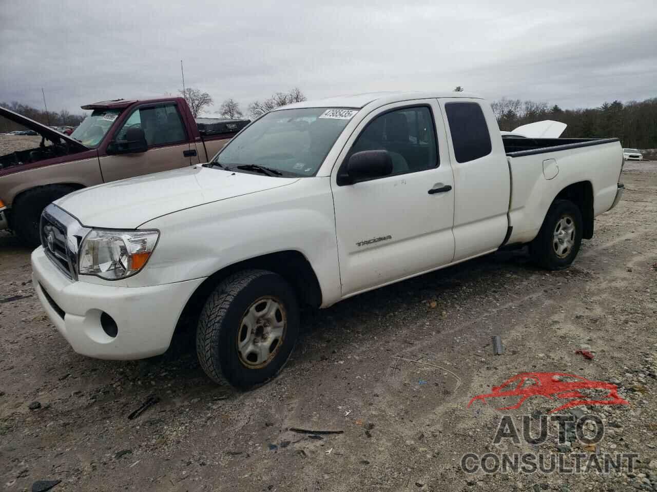 TOYOTA TACOMA 2010 - 5TETX4CNXAZ671586