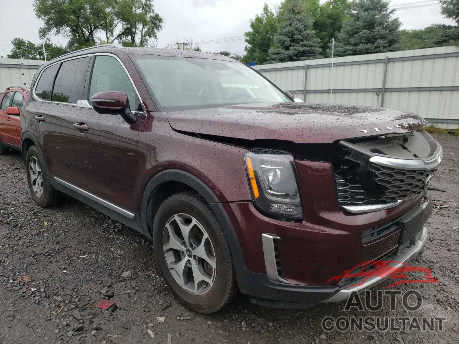 KIA TELLURIDE 2020 - 5XYP3DHC6LG001163