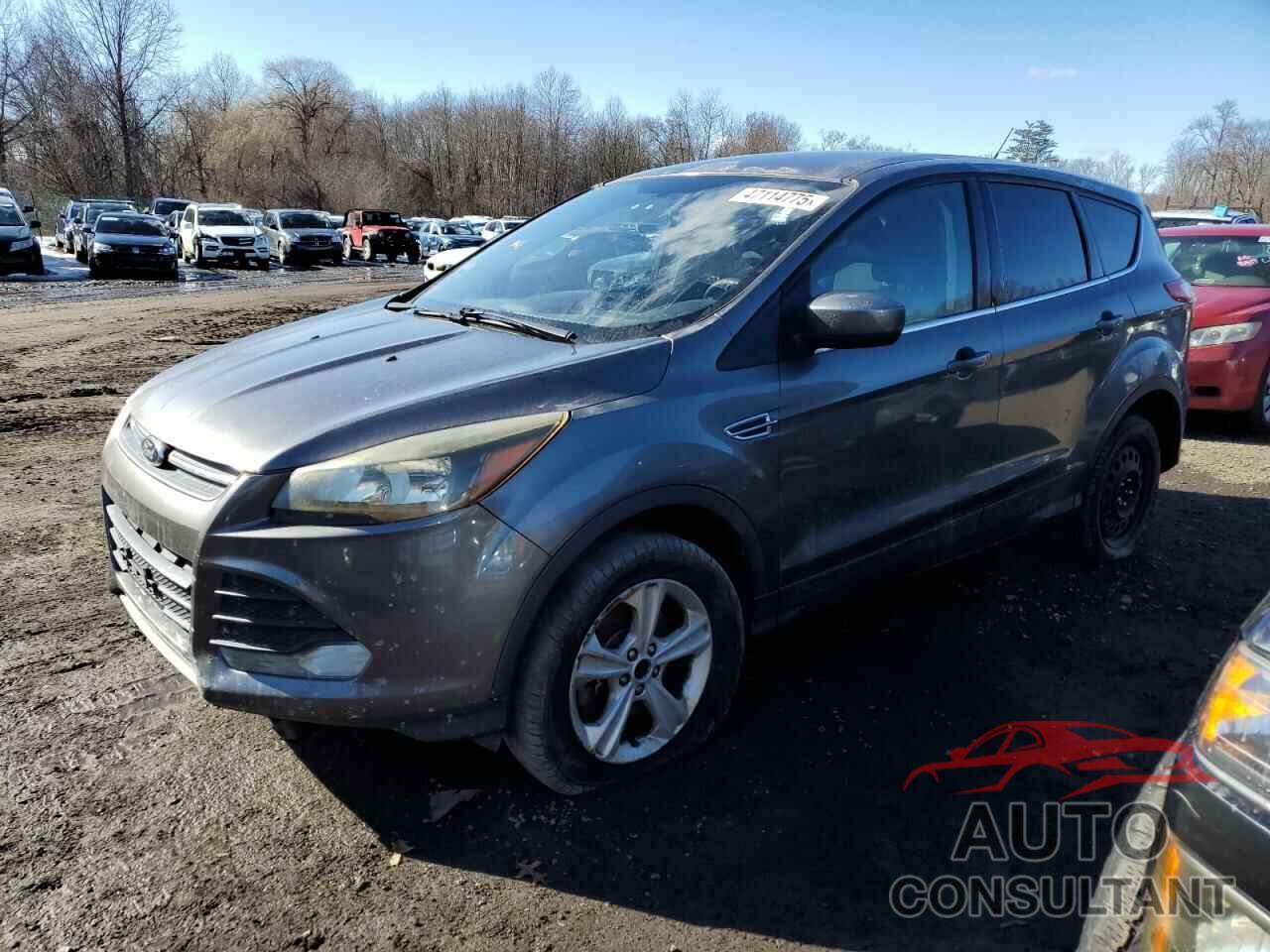 FORD ESCAPE 2014 - 1FMCU9G99EUC23613