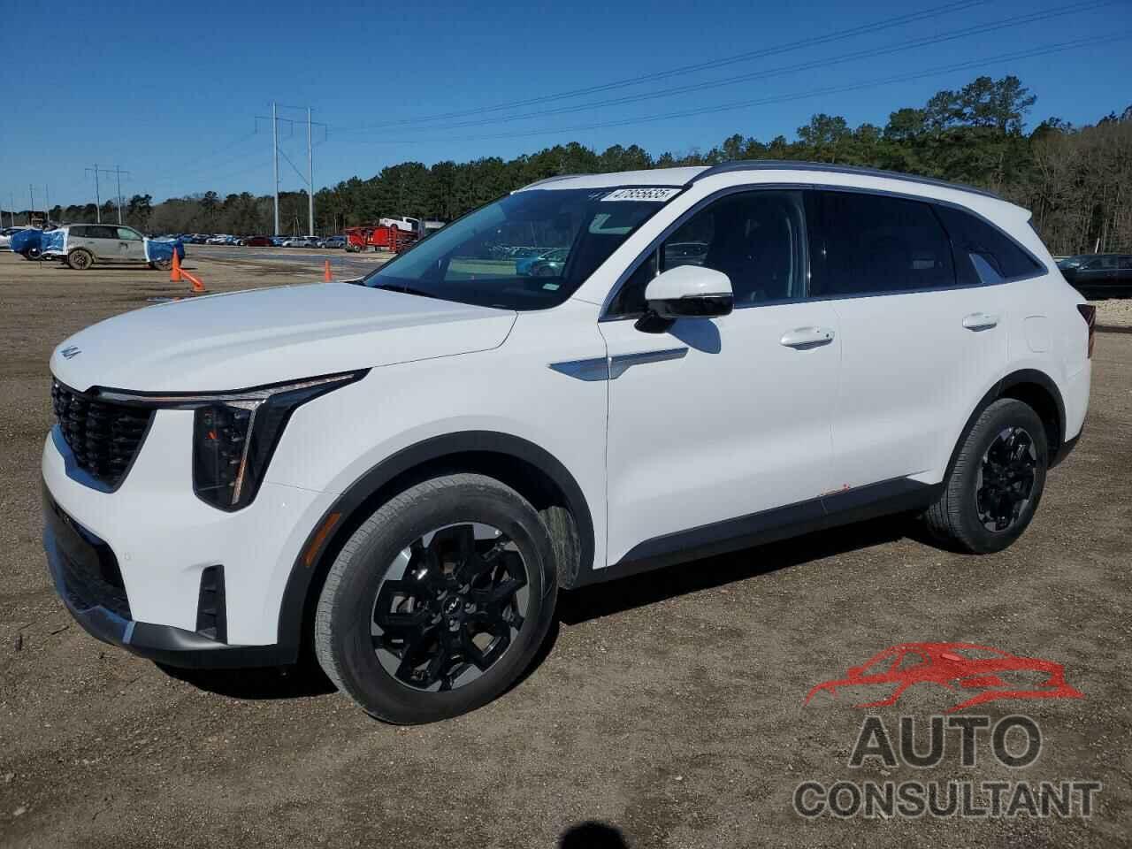 KIA SORENTO 2024 - 5XYRL4JC9RG287988