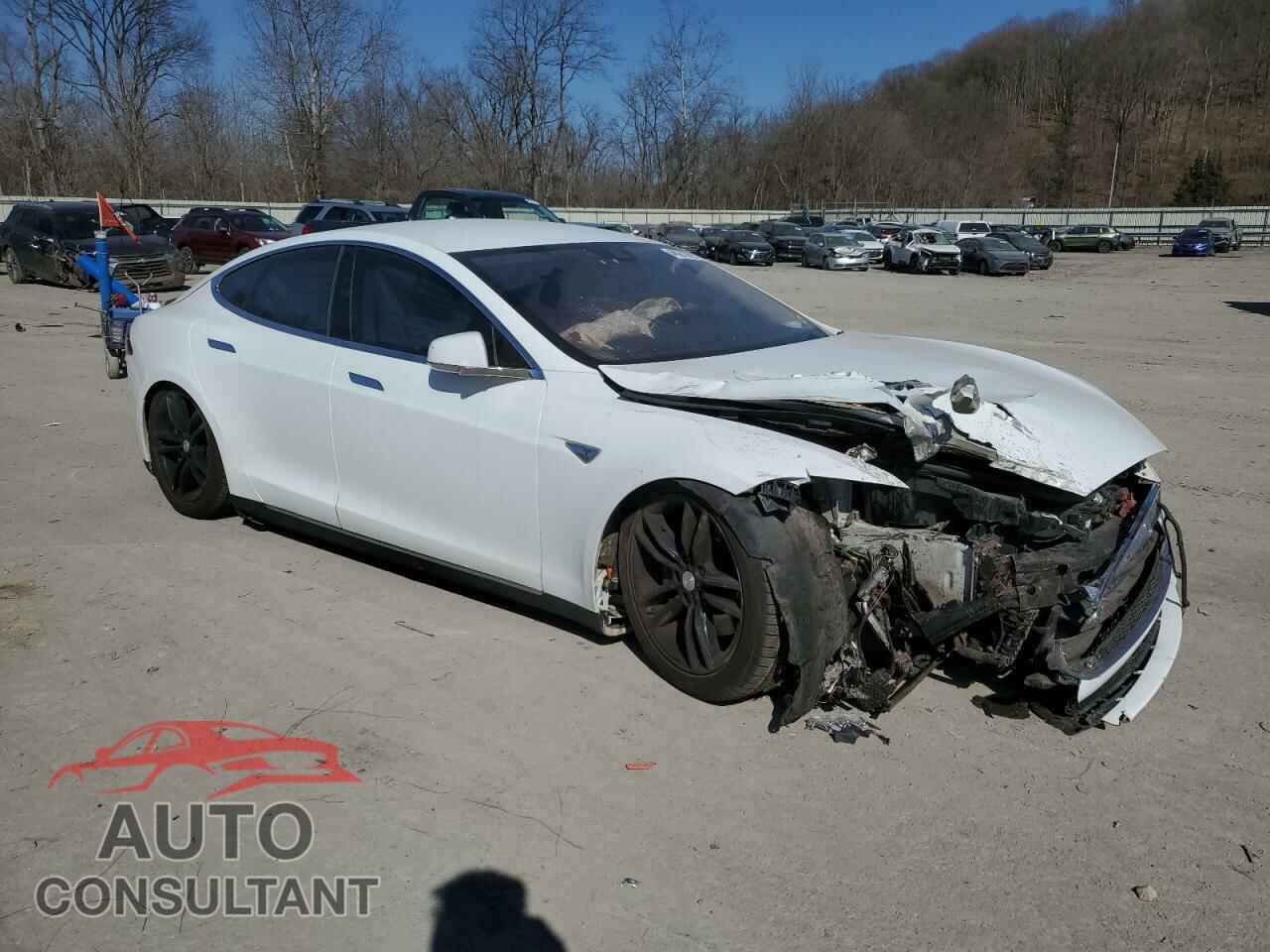 TESLA MODEL S 2015 - 5YJSA1H29FF096724