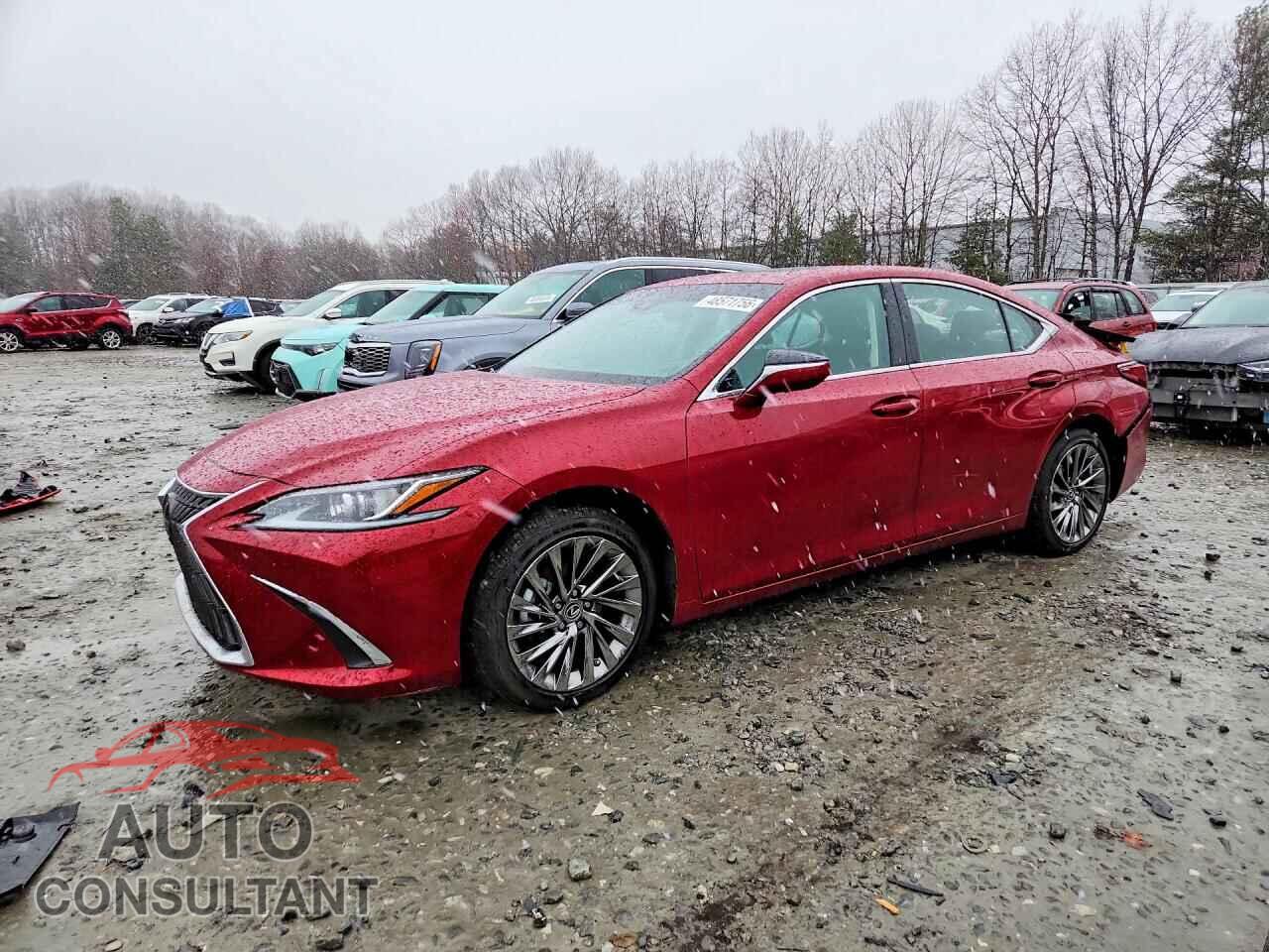 LEXUS ES300 2025 - 58AEA1C1XSU065807