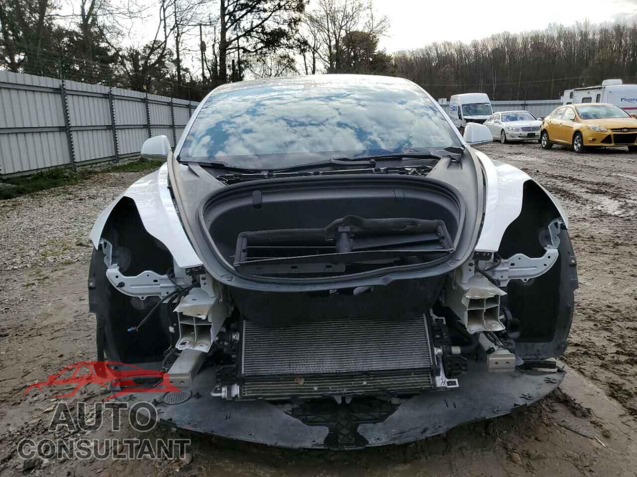 TESLA MODEL 3 2019 - 5YJ3E1EA5KF301387