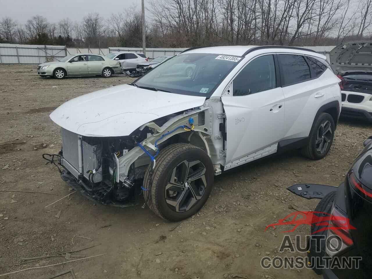 HYUNDAI TUCSON 2024 - KM8JBDD25RU218163