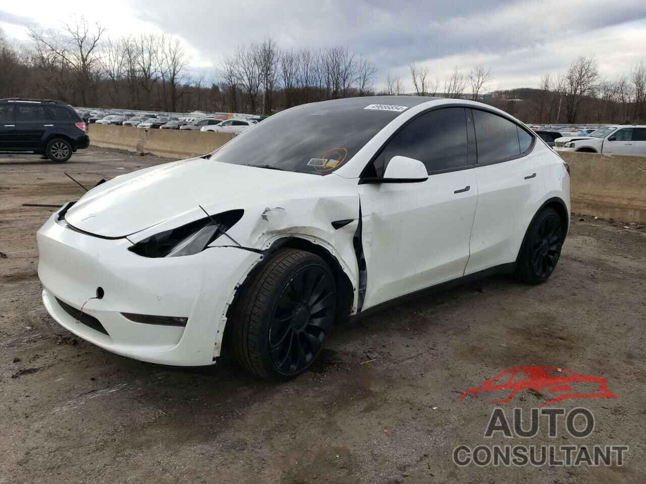 TESLA MODEL Y 2022 - 7SAYGDEF7NF539830