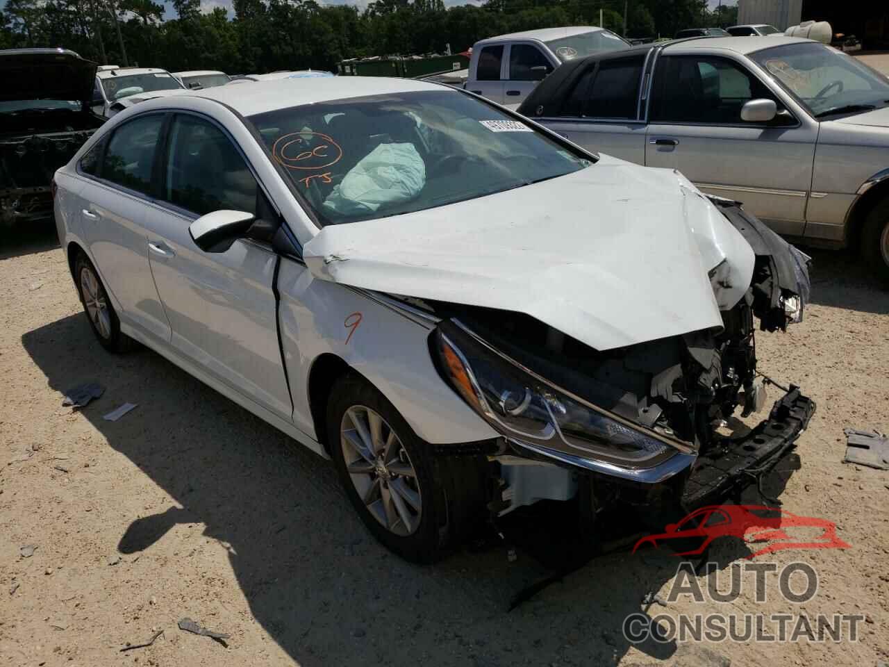 HYUNDAI SONATA 2019 - 5NPE24AF0KH770683