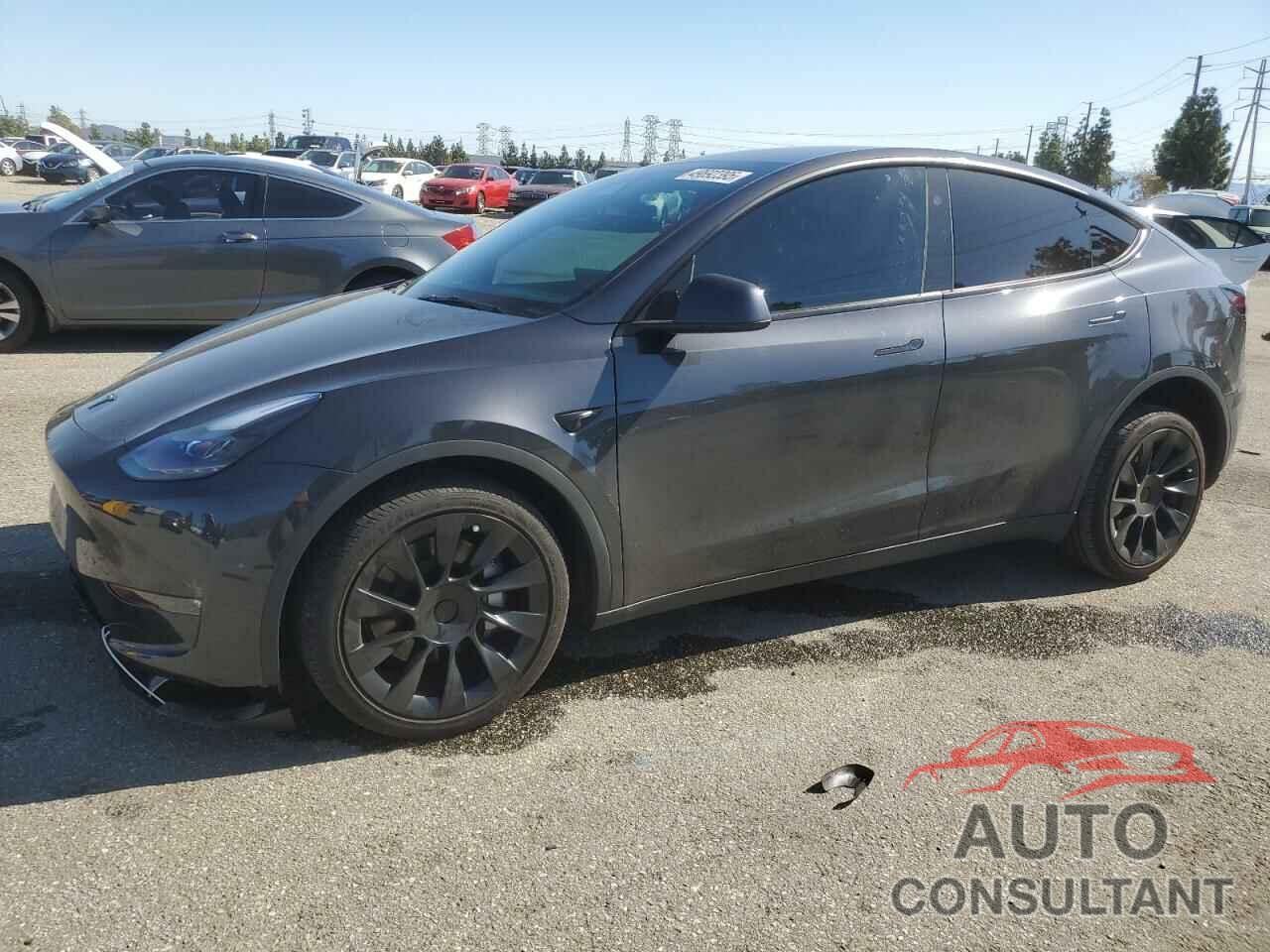TESLA MODEL Y 2024 - 7SAYGDEE1RF070313