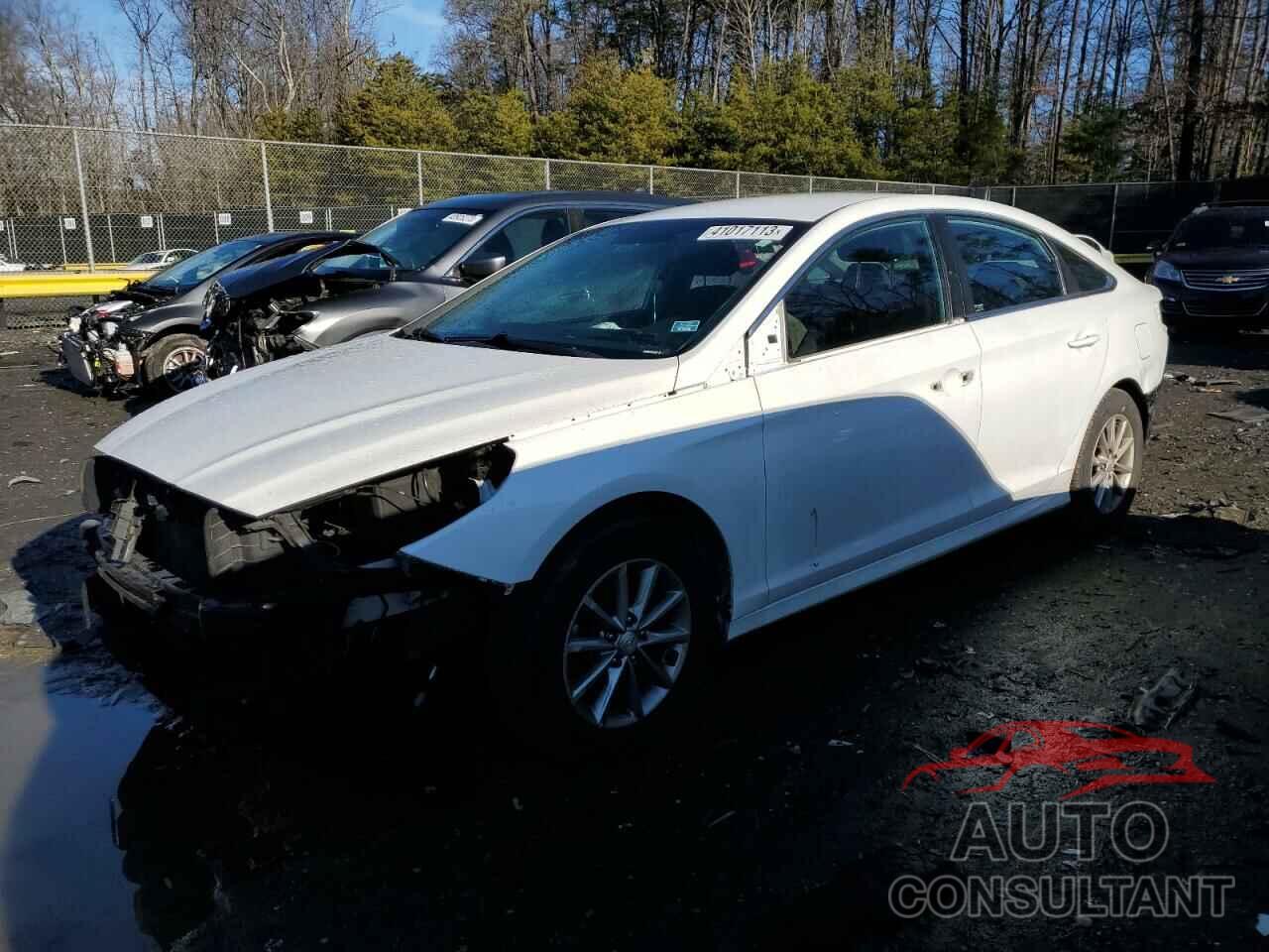 HYUNDAI SONATA 2018 - 5NPE24AF8JH725456