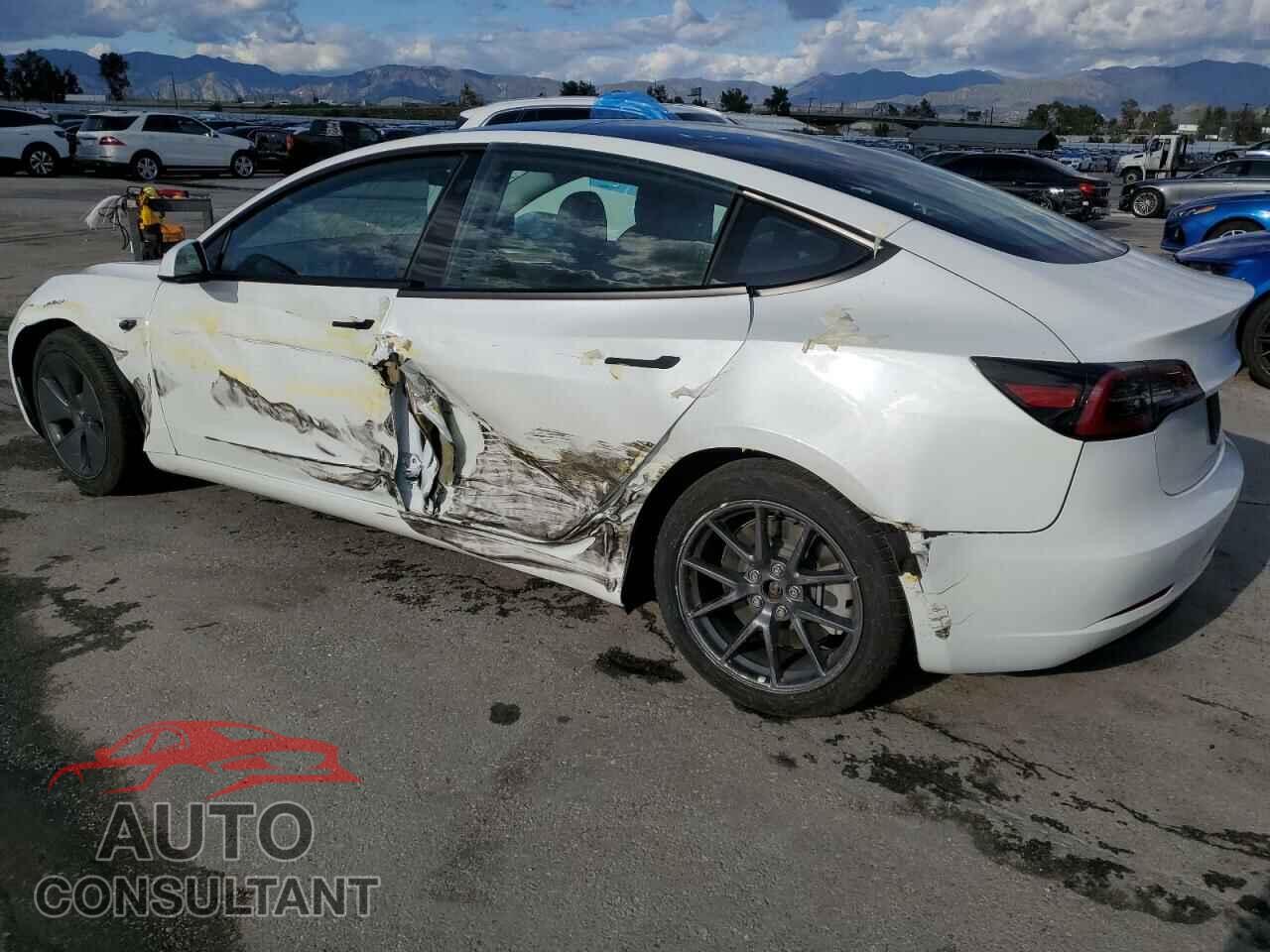 TESLA MODEL 3 2022 - 5YJ3E1EBXNF297446