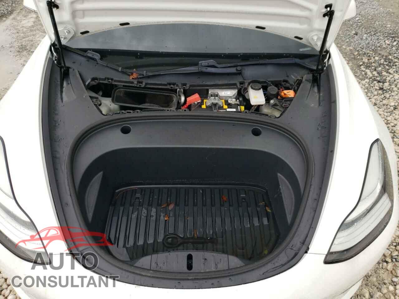 TESLA MODEL 3 2020 - 5YJ3E1EA9LF793018