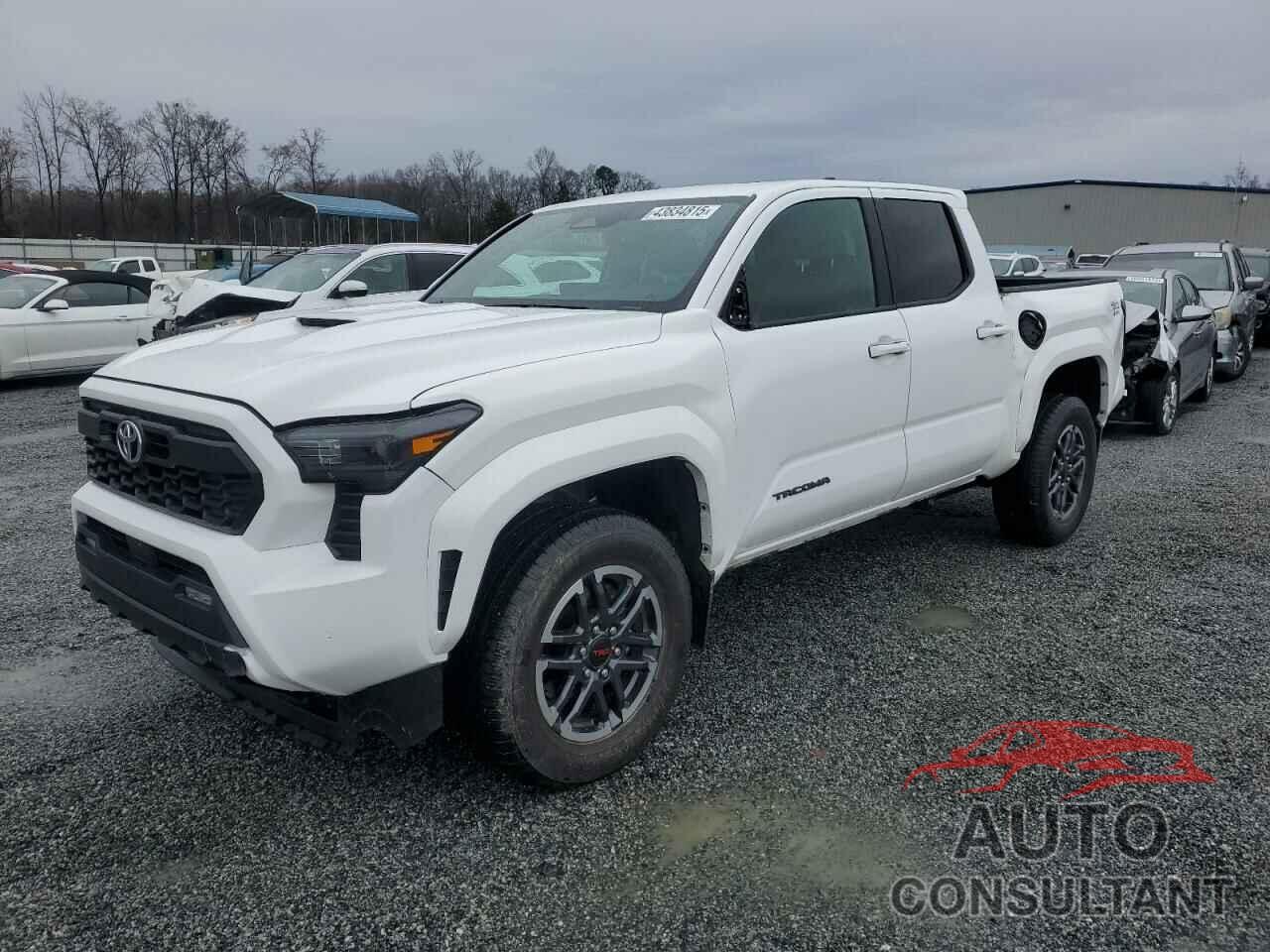 TOYOTA TACOMA 2024 - 3TMLB5JN2RM042517