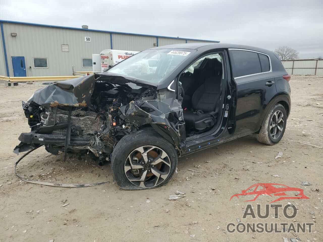 KIA SPORTAGE 2022 - KNDPM3AC6N7026341
