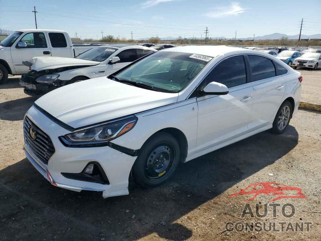 HYUNDAI SONATA 2019 - 5NPE24AF6KH743679